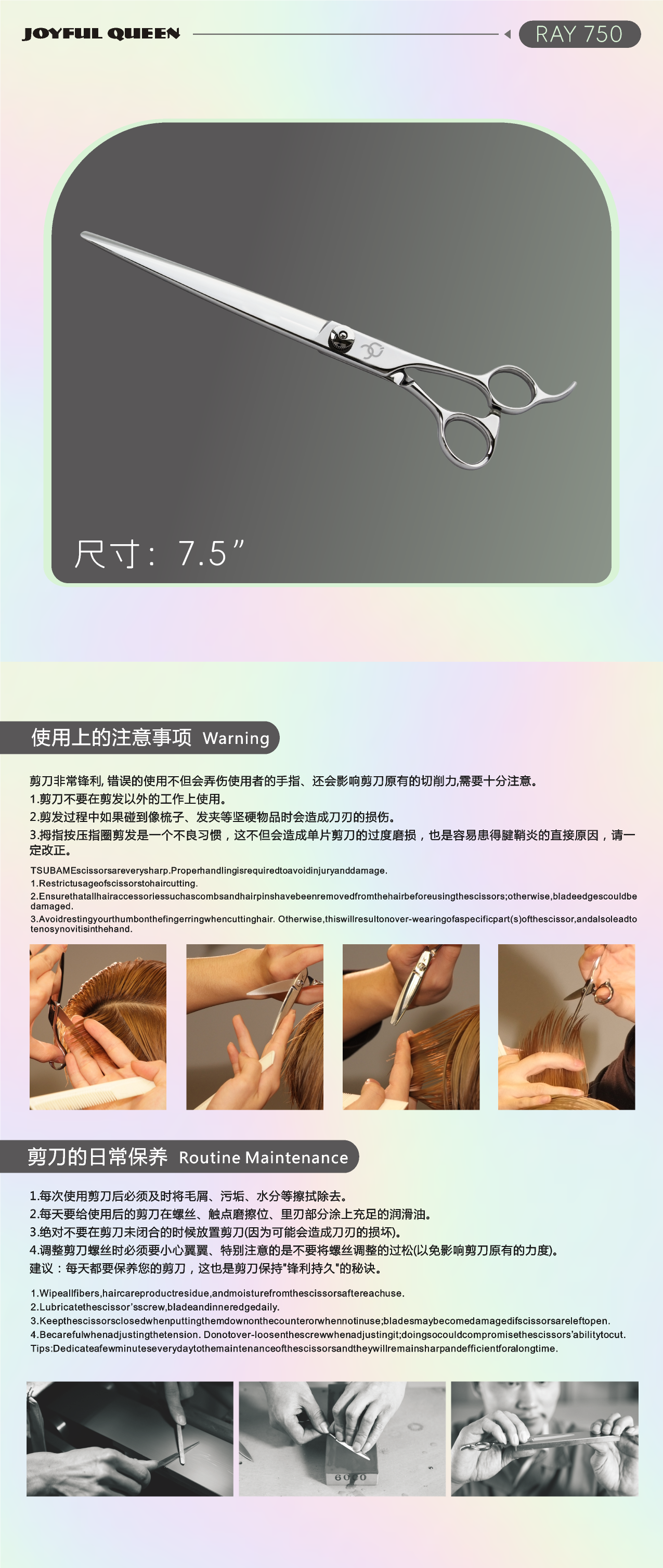 RAY 750 (2).png
